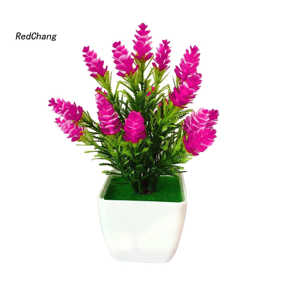 ♧Phụ Kiện Chuyên Dụng Dành Cho Fzhh Fzhh♧1 Cây Thông Nhân Tạo Hình Nón Trang Trí Nhà Cửa