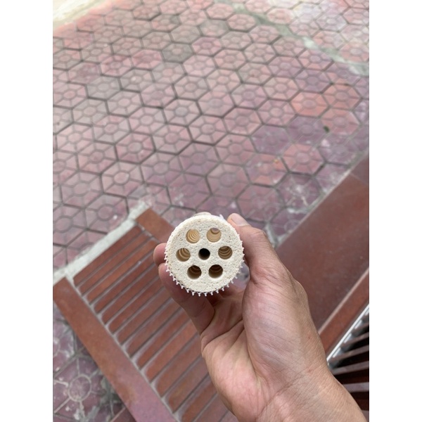 Sứ lọc củ sen Lotus Root Bacteria House I kích thước 16x4 cm