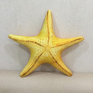 Gối 3D Sao biển