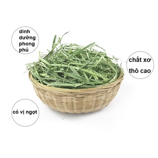 CỎ LÚA MẠCH HÀ LAN 500G CHO THỎ, BỌ