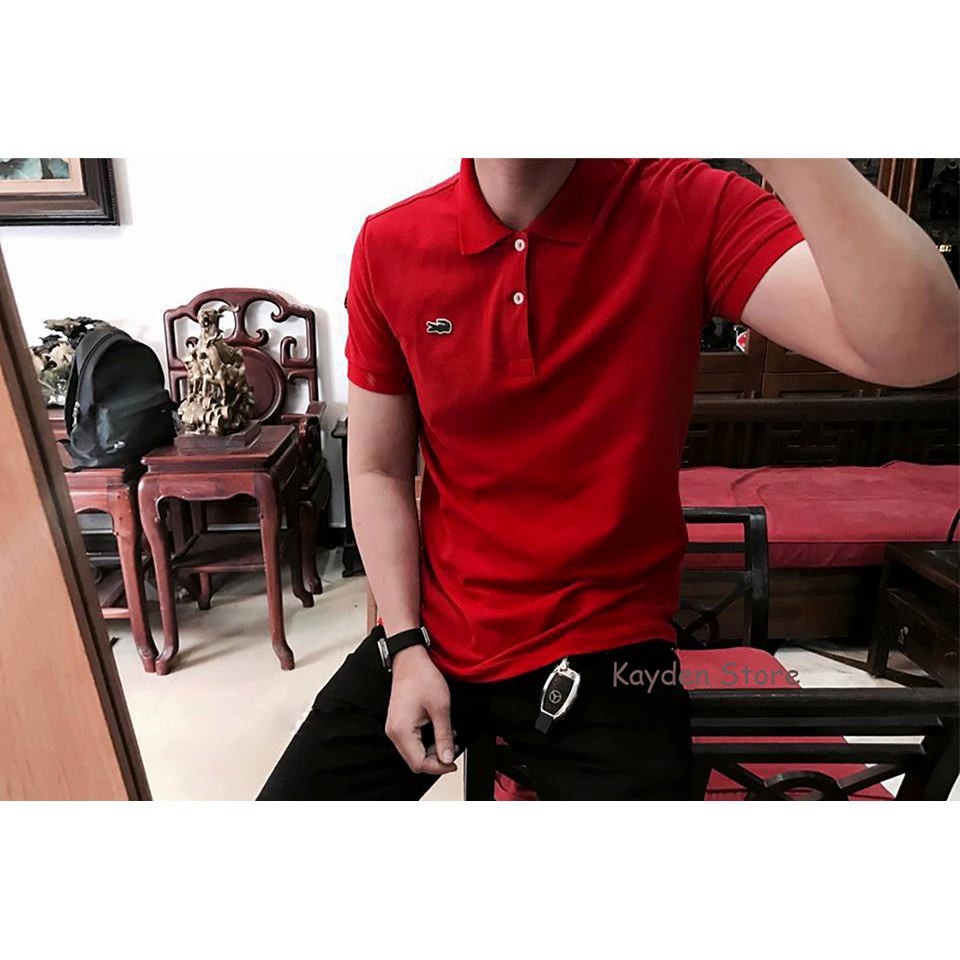 Áo Polo Nam Cá Sấu VNXK Đẹp, Hình Thật Full Tem Tag | BigBuy360 - bigbuy360.vn