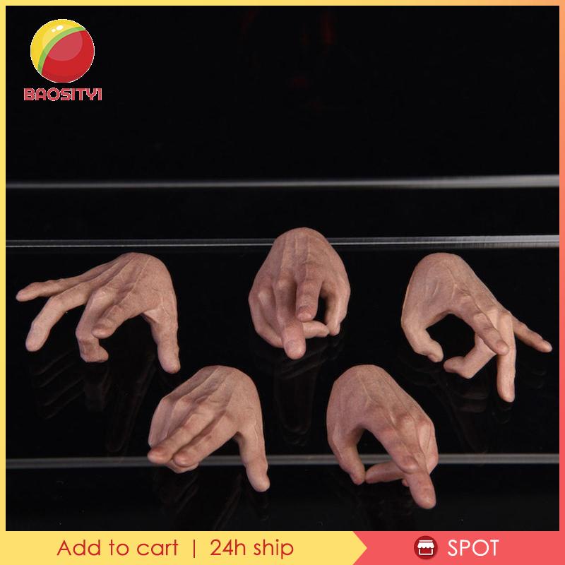 Bộ 5 Mô Hình Bàn Tay Nam Giới Bằng Lúa Mạch 1 / 6 DML HT PH 12 ''