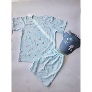 Bộ đùi chất cotton thoáng mát mềm mịn BD2D9