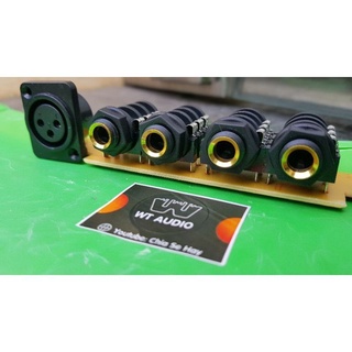 Cổng input tín hiệu hậu main Ca20
