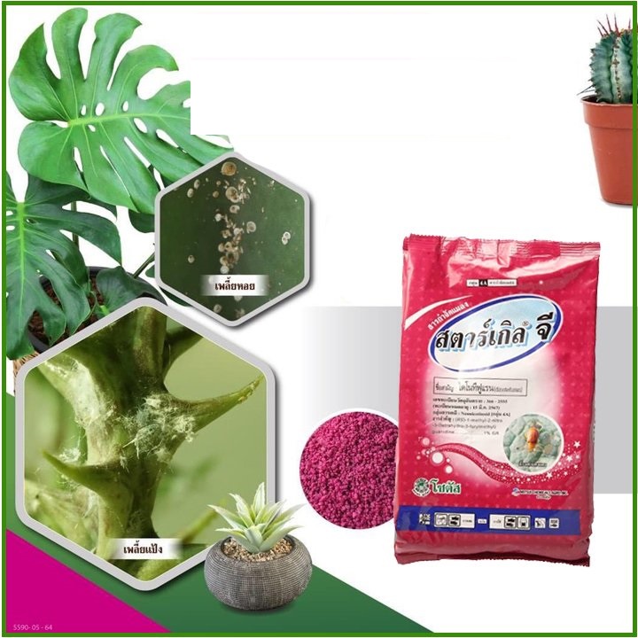 Túi 50gr Thuốc Tím trị rệp Starkle-G dùng cho Sen đá, xương rồng- Lưu dẫn, an toàn, hiệu quả - Thái Lan