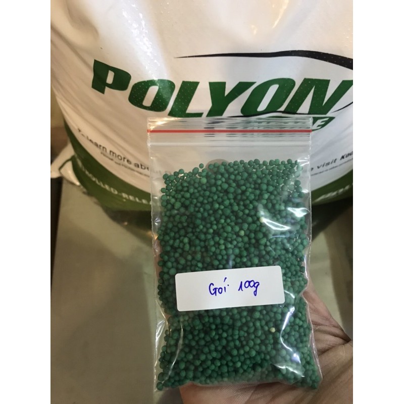 Phân xanh nhập khẩu Mỹ Polyon 16-6-12 ( gói 100gr ) chuyên dùng hoa Lan Hoa Kiểng