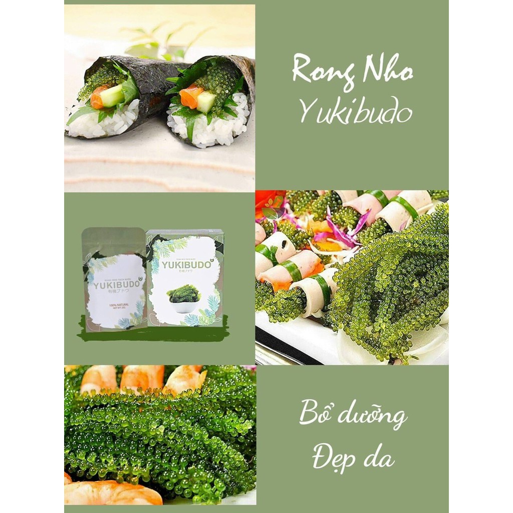 [QUÀ TẶNG 33K] Rong Nho Tách Nước Yukibudo Organic Khánh Hòa, Hộp 150g, Tặng Kèm 1 Chai Xốt Mè Rang Kewpie 180g | BigBuy360 - bigbuy360.vn