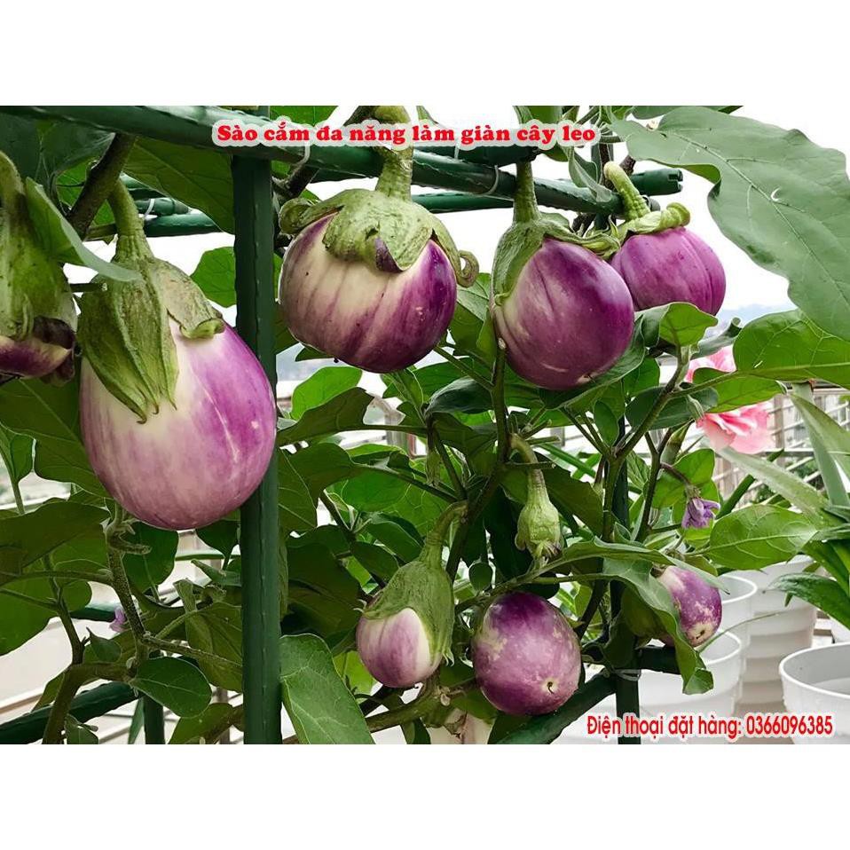 Ống thép bọc nhựa dùng làm cây đỡ hoa hồng, làm giàn cỡ 16mm dài 180cm - Bt0408