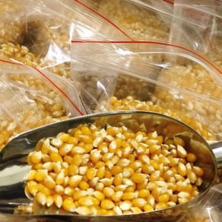 Sỉ toàn quốc giá rẻ ngô nổ bỏng 500g - 1kg