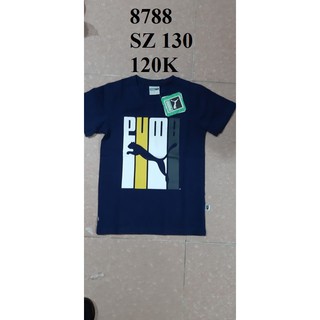 8788 SZ 130 120K