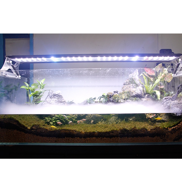 Máy Phun Sương Tạo Độ Ẩm Cho Bể Cá Mini DC 24V/1A