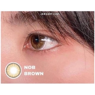 Lens Nob brown (có độ cận)