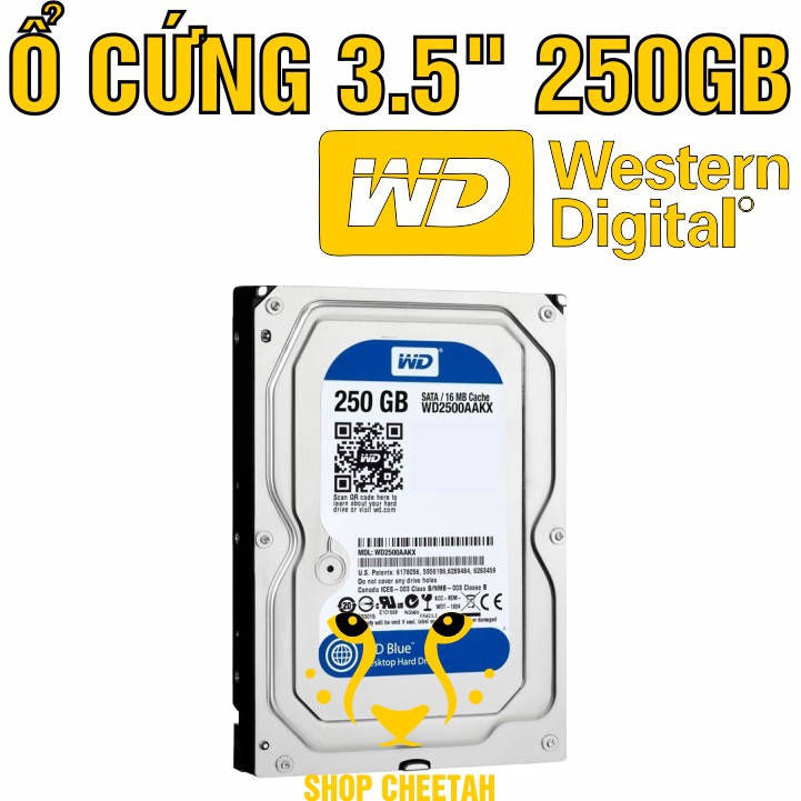 Ổ cứng 250GB Western Digital HDD 3.5” - Chính Hãng – Bảo hành 6 tháng – Tháo máy đồng bộ mới 99% - HDD WD xanh