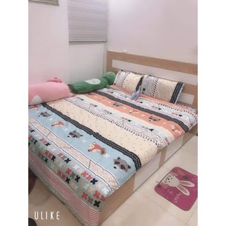 Bộ chăn ga 4 món cotton 3D hàng nhập