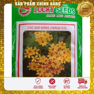 HẠT GIỐNG HOA CÚC SAO BĂNG (TARGETES ) 100 HẠT