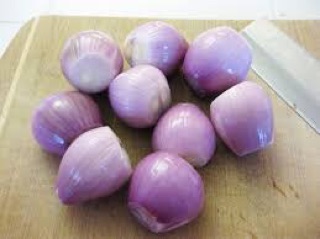 Chuyên sỉ Hành tím InĐô
