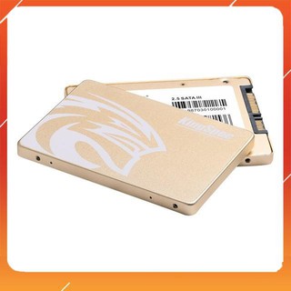Ổ cứng ssd kingspec p4-120gb / netac 120gb / lexar 120gb
