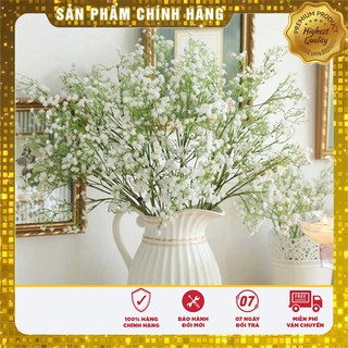 Bộ gói hạt giống Baby mix