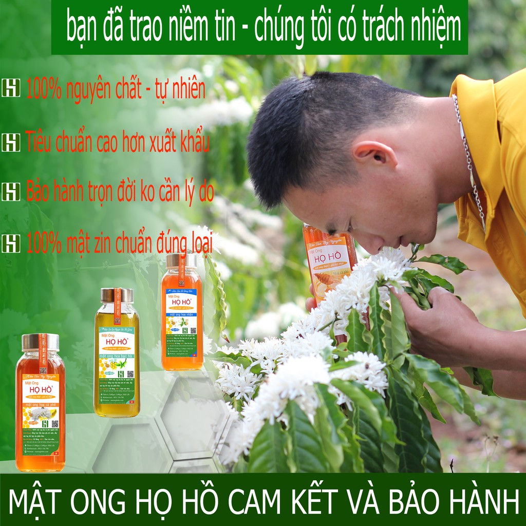 Mật ong nguyên chất chai thủy tinh 420gr mật ong hoa cà phê, mật ong hoa nhãn, mật ong hoa bạc hà tùy chọn nguyên chất