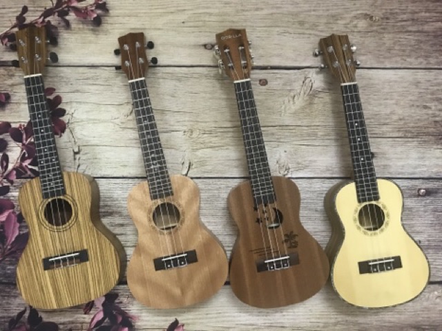 (ĐÀN SỊN) ĐÀN UKULELE CONCERT TỔNG HỢP CÁC MẪU ĐẸP