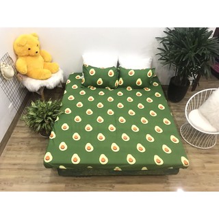 [Giảm Giá sốc] Bộ ga chun và 2 áo gối 🏵️Freeship🏵️ Emmideocr -  mẫu quả bơ, drap cotton poly