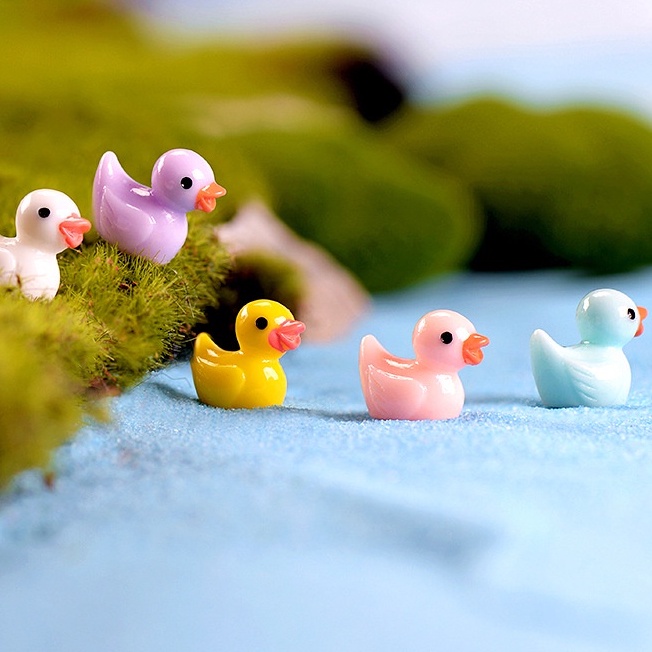 Vịt tiểu cảnh/ terrarium/ trang trí mô hình