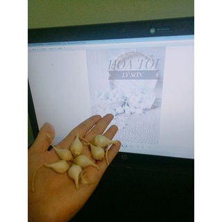 (TRỢ_GIÁ)1kG TỎI CÔ ĐƠN LÝ SƠN