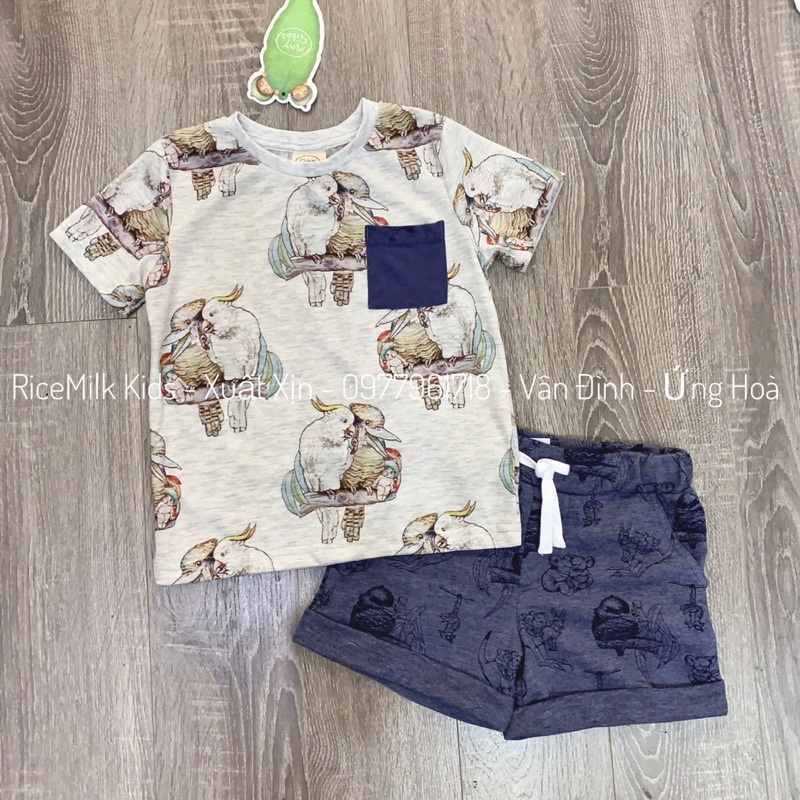 Bộ hè áo cotton quần da cá hình cú
