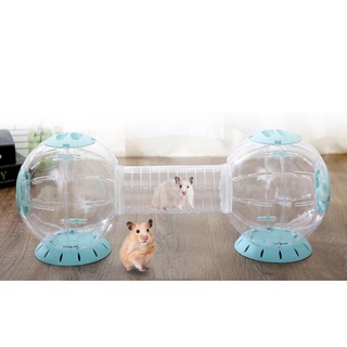 Bóng chạy mica cho hamster – Đồ chơi vận động an toàn, êm, nhiều màu |Hamster Petshop1