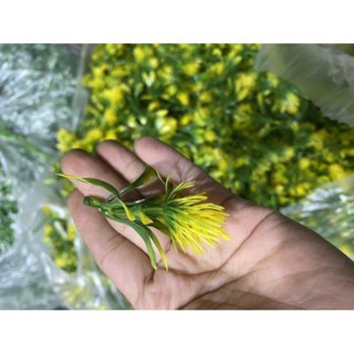 1 Kg Cỏ Điểm
