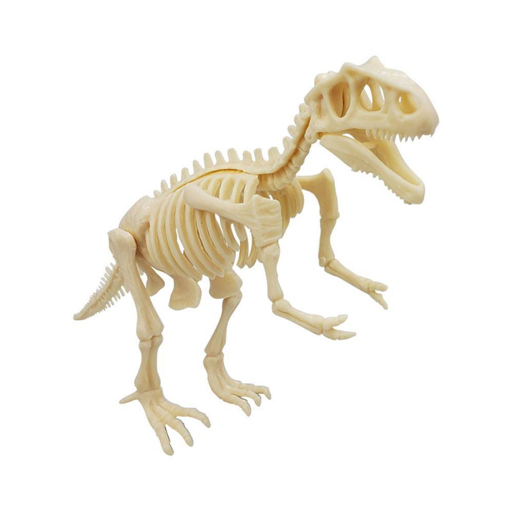 Mô Hình Bộ Xương Khủng Long 3D Độc Đáo Giáo Dục Cho Bé