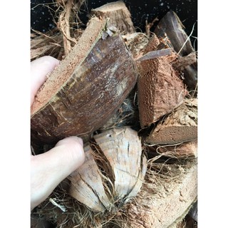 Xơ dừa đã qua xử lý, cán mềm dùng lót chậu, làm giá thể trồng lan 1kg