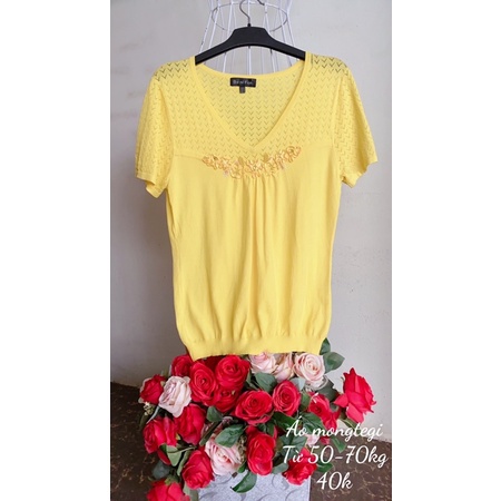 Áo  thun mongtegi kiểu