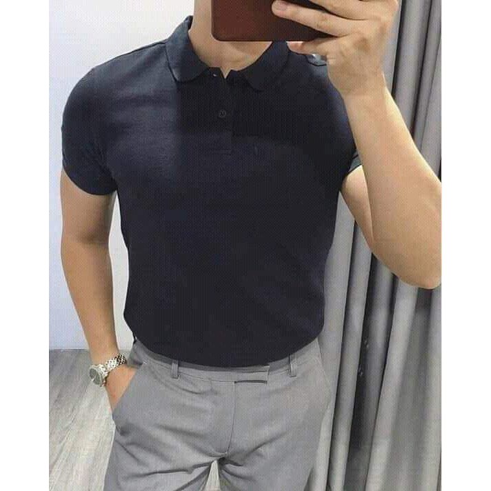 Áo phông cổ bẻ dệt cá sấu chất thun cottong mát | BigBuy360 - bigbuy360.vn