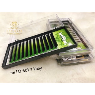 Mi babydoll_Mi Cong LD_Cong Tròn Búp Bê_Thương Hiệu Mi Mink_Bám Keo Đỉnh Nhất_Sợi Nhạt Màu_Lannoimi_Lannoimi6666