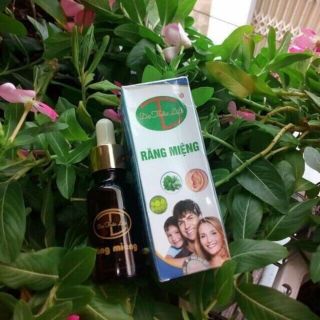Combo 5 tinh dầu Dạ Thảo Liên