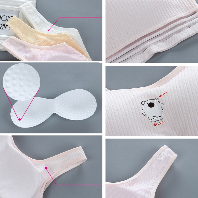 Wi Pubgerty Áo Ngực Thể Thao Cotton Không Dây Thoáng Khí In Họa Tiết Gấu Hoạt Hình Có Đệm Gân Cho Nữ
