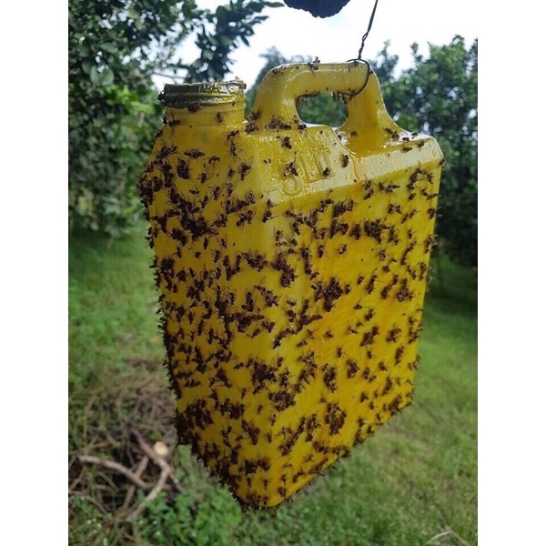 keo xịt ruồi vàng lọ 450ml, bầu ươm cây, lưới che nắng, khay ươm hạt, kích rễ, kích mầm, chậu trồng cây hoa