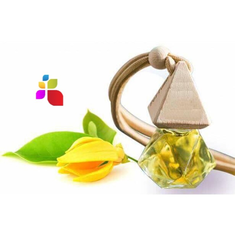 [MT300] 6 lọ TREO Tinh dầu treo xe , treo phòng Vỏ Bưởi hồng, sả chanh... XUBU1140614