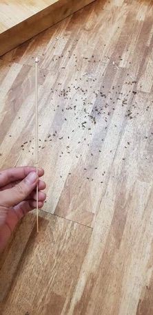 Nhang muỗi Thái Lan 10