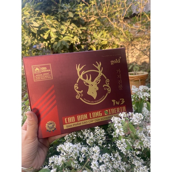 cao ban long siberia hỗ trợ mang thai. mua hàng tặng quà