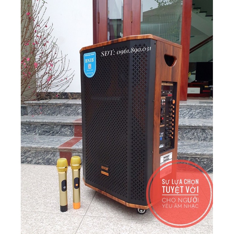 Loa kéo BNIB 1506A bass 40 hàng phân khúc cao cấp