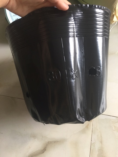 1kg túi bầu ươm cây chọn size