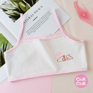 Áo lá học sinh cotton K02