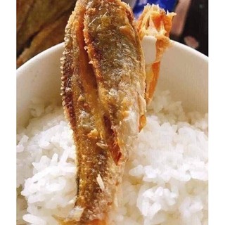 Cá phèn hồng 1 nắng khay 500gam