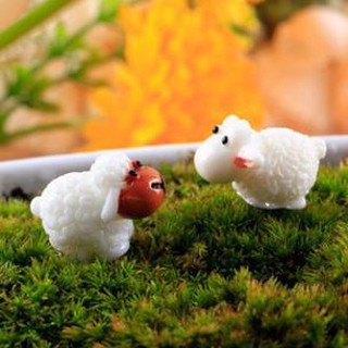 Cừu mini lông xù - Tiểu cảnh trang trí Terrarium