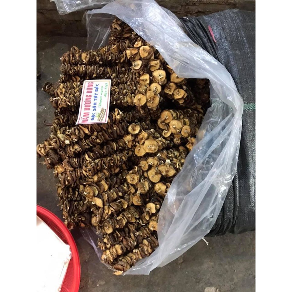 Nấm hươn g rừng Điện Biên 500gram