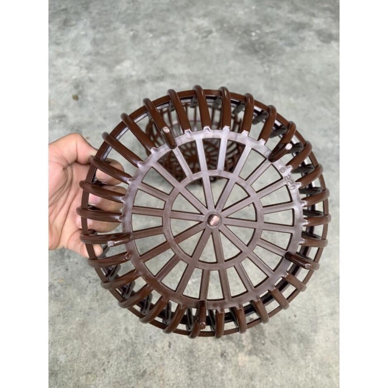 Giảm giá -  HẠT GIỐNG HOA ĐỒNG TIỀN MIX F1- Loài Hoa May Mắn, Nhiều Tài Lộc, hàng sẵn