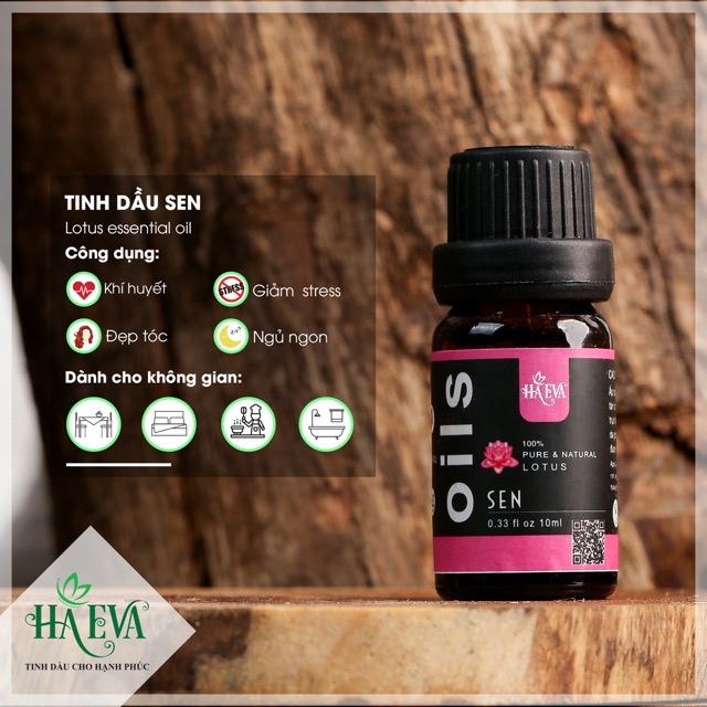 [FREESHIP]Tinh dầu Sen Haeva (dung tích 10ml 30ml 100ml)