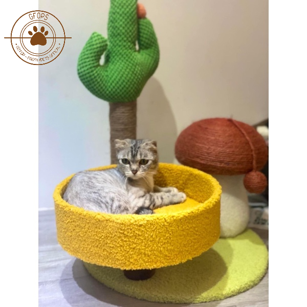 CATTREE - Cây cào móng kết hợp ổ nằm cho mèo phụ kiện thú cưng